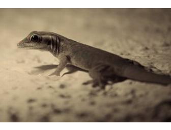 A Photo Shoot with Jonathan Couture