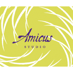 Amy Cook, Amicus Studio