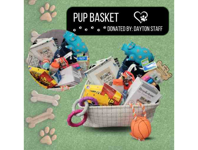 Dog Basket by Dayton Staff