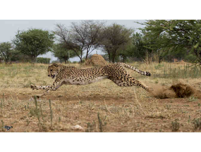Ker & Downey - African Safari for two - Namibia & Botswana