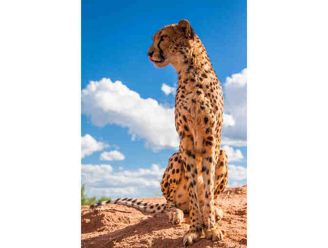 Ker & Downey - African Safari for two - Namibia & Botswana