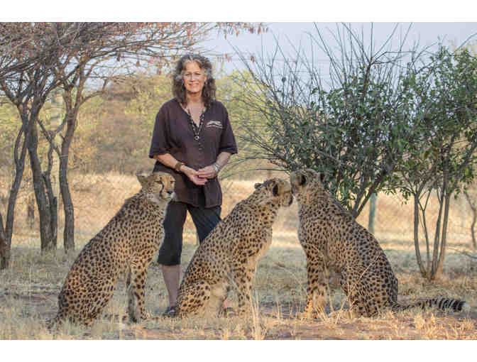 CCF Cheetah Outfit 2