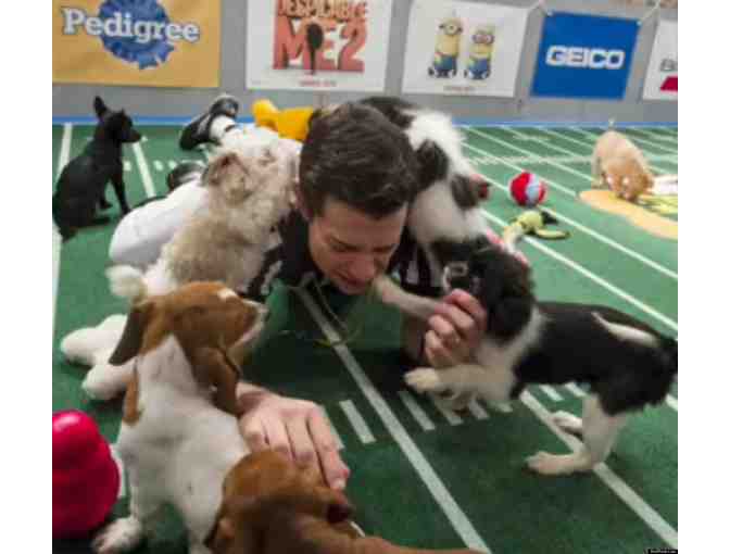 2 EXCLUSIVE VIP BEHIND-THE-SCENES TICKETS TO FILMING OF ANIMAL PLANET'S PUPPY BOWL XIII
