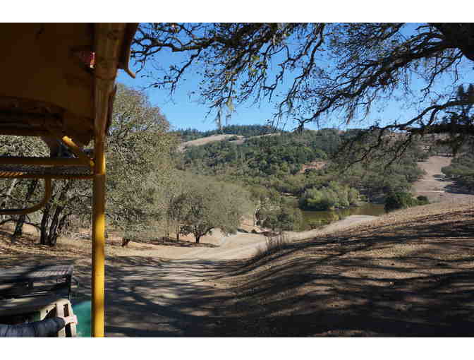African adventure in the heart of California wine country: Safari West Overnight Stay!