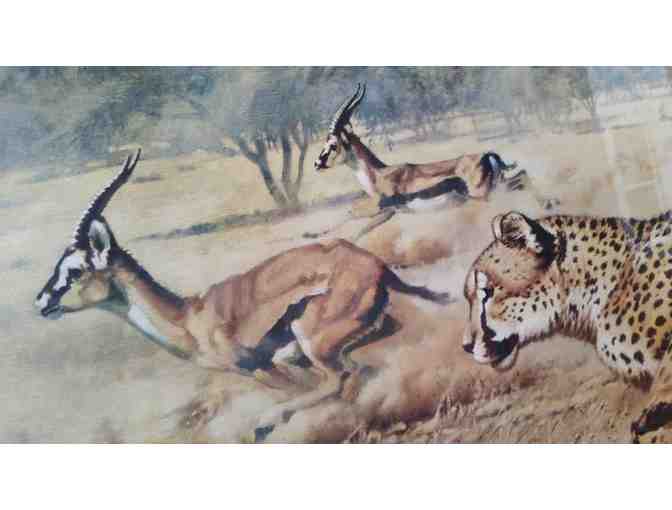 Framed Print 'Angel's Chase' by Guy Coheleach