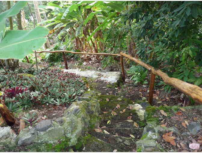 Hawaii Vacation Home