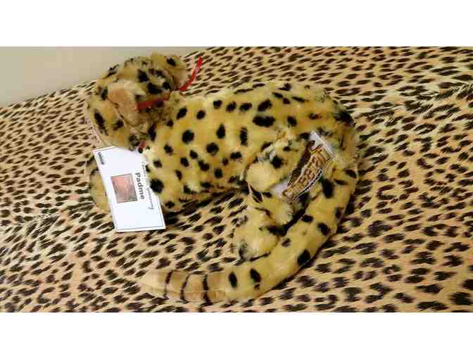 Cheetah Sponsorship for a Year with a Purring Cheetah!