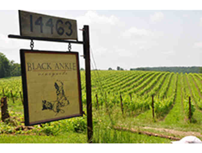 Black Ankle Vineyards Wine Tasting and Tour Party for 8