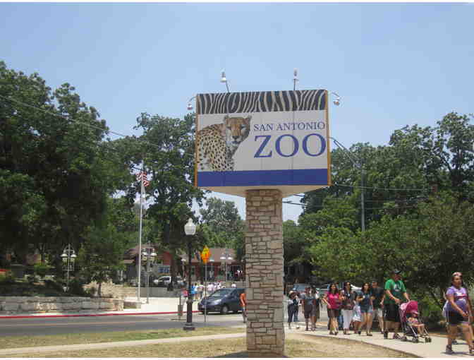 San Antonio Zoo Family Trip & Cheetah Sponsorship