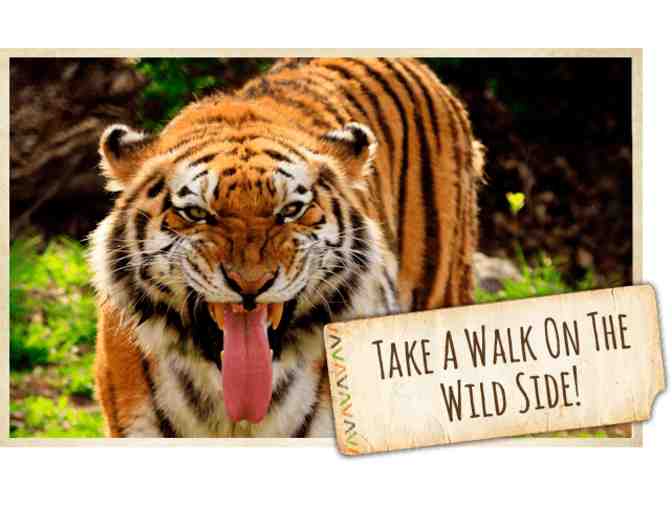 Sunset Zoo Family Pass & Cheetah Sponsorship Gear!