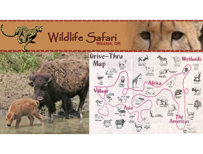 Wildlife Safari Oregon Adventure!