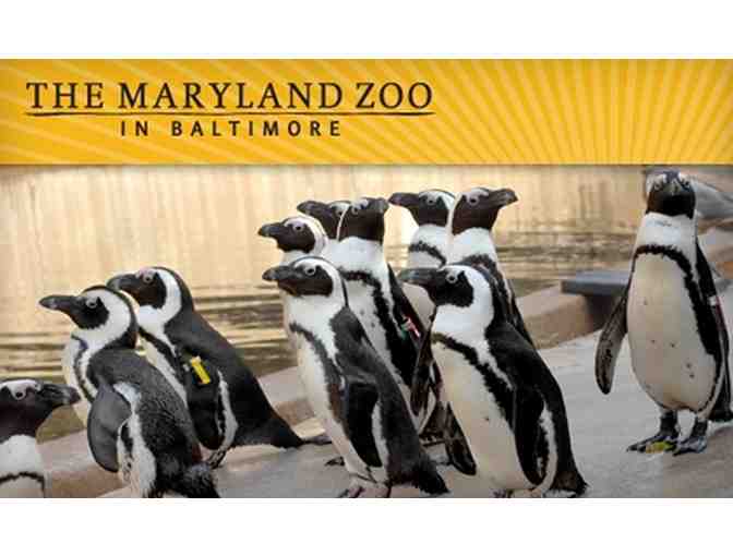 Zoo, Craft Brew, BBQ, and Ice Cream in Baltimore