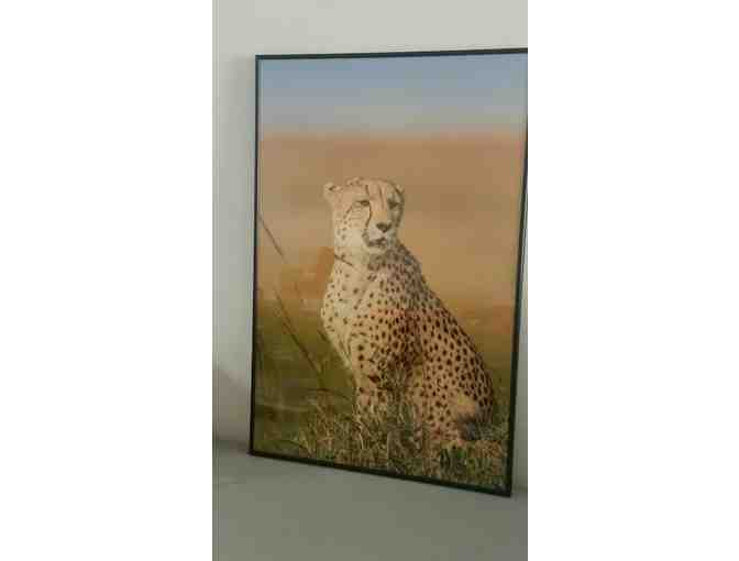 Technicolor Cheetah Photo - Framed & Glass Protected