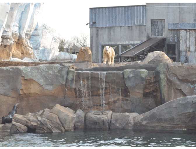Behind the Scenes Tour of Glacier Run at Louisville Zoo