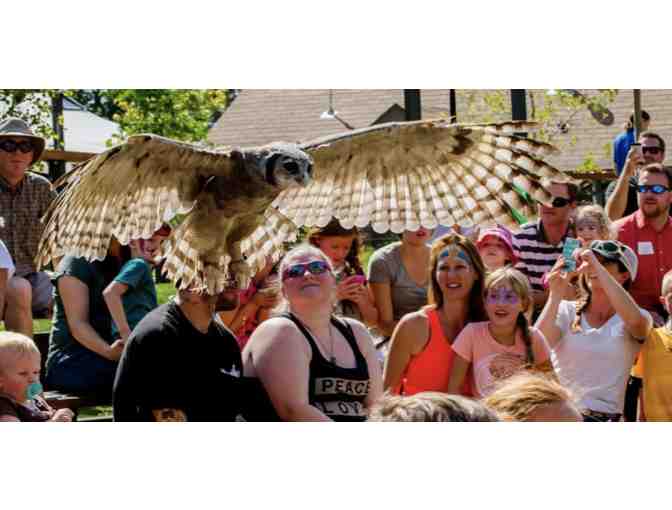 Feed the Birds at Tracy Aviary in Utah
