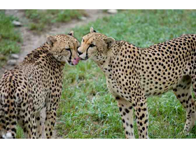 Kansas Zoo Trips Package