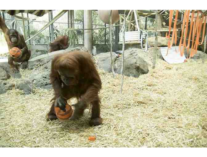 Kansas Zoo Trips Package