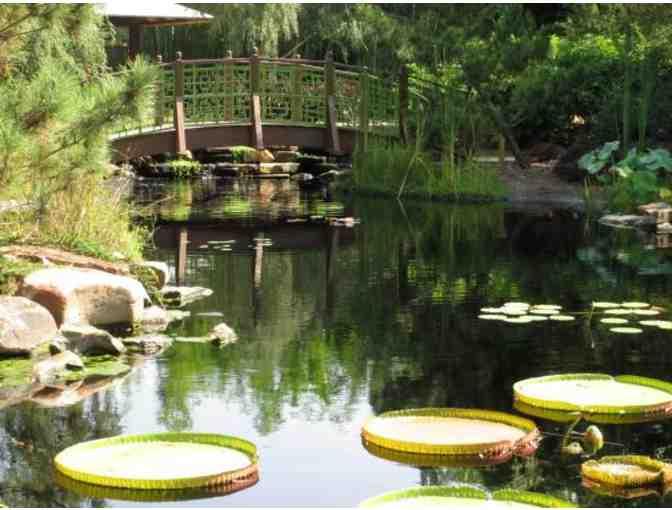 Family Fun at the Jacksonville Zoo!