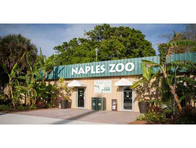 A Day at the Naples Zoo!