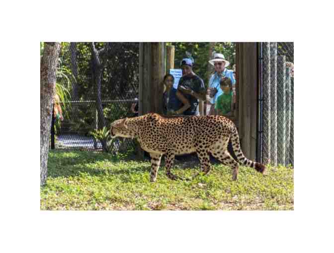 A Day at the Naples Zoo! - Photo 2