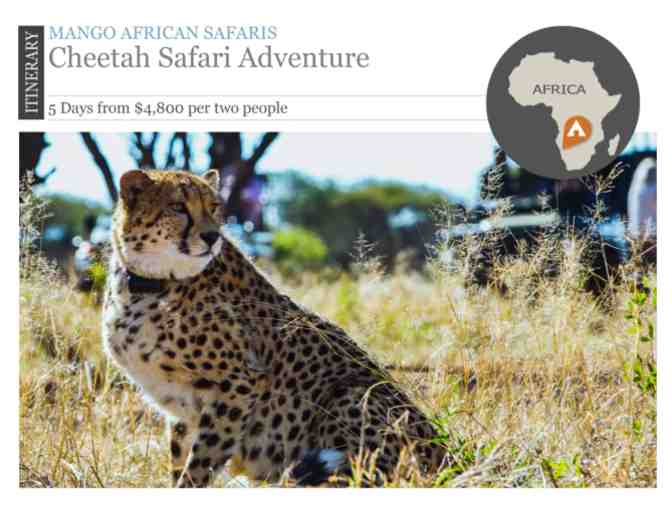 Cheetah Safari Adventure