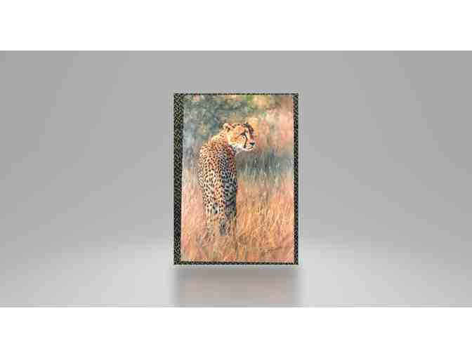 A 'Cheetah Alone' Canvas
