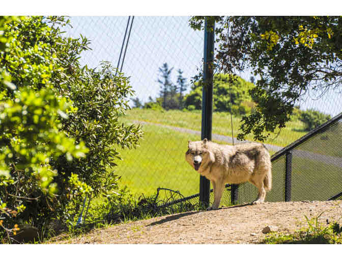 Oakland Zoo Family Pack!