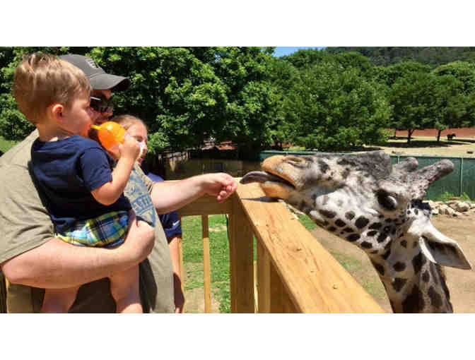Family Ticket Bundle to Lehigh Valley Zoo!
