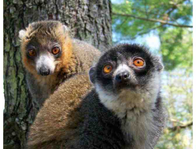 Family Ticket Bundle to Lehigh Valley Zoo!