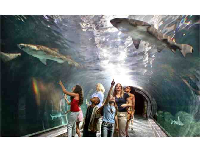 Two Tickets to Adventure Aquarium!