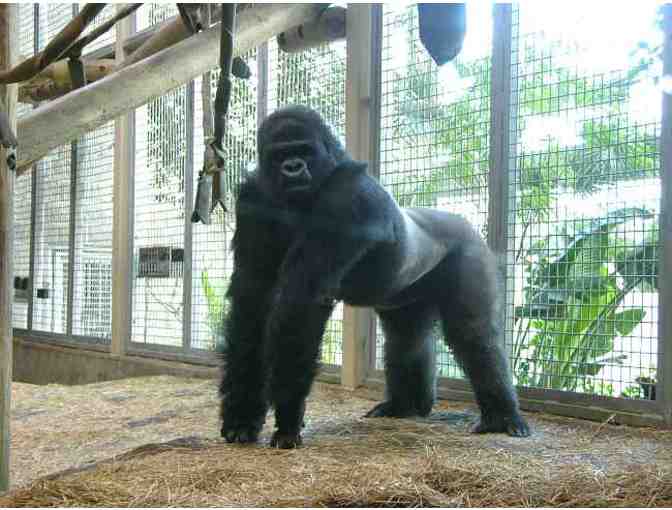 Two Tickets to the Sedgwick County Zoo!