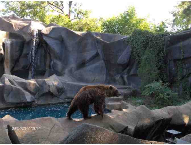Four Adult Admission Tickets to the Riverbanks Zoo & Garden!