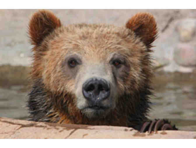 Tickets to Utah's Hogle Zoo!