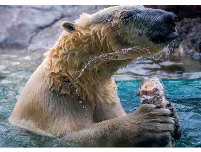 Tickets to Utah's Hogle Zoo!
