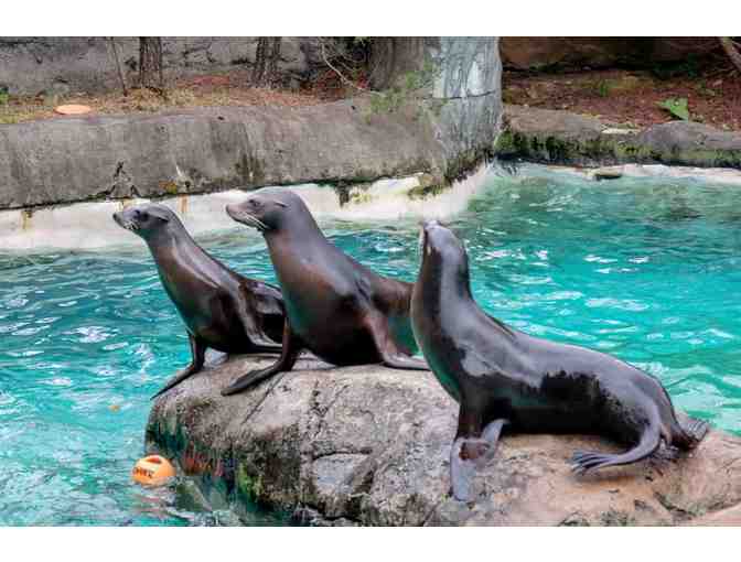 Two Tickets to the Pittsburgh Zoo & PPG Aquarium!