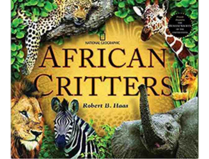 Children's Book Bundle