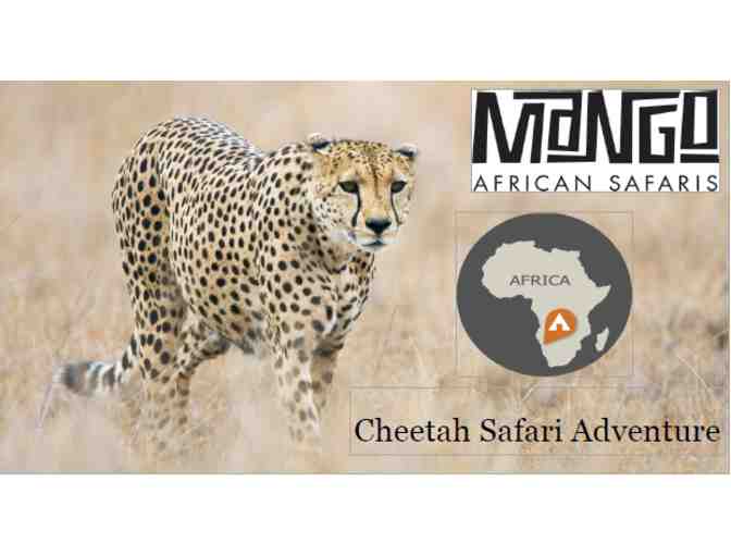 Cheetah Safari Adventure