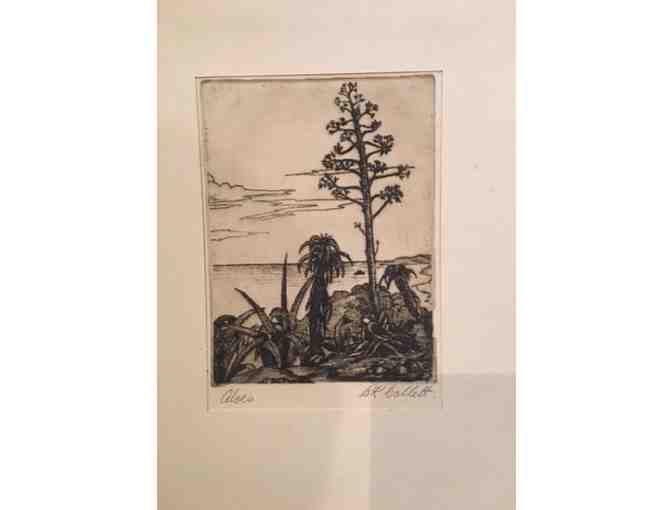 Original Antique Etching signed by BK Gollet from South Africa