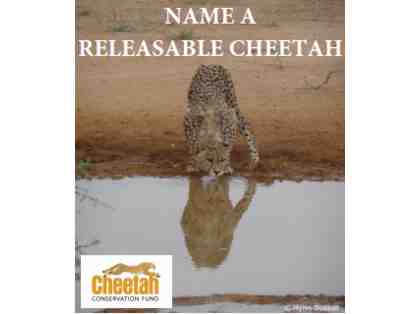 CHEETAH NAMING RIGHTS - RARE OPPORTUNITY