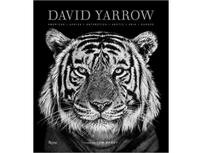 David Yarrow Photography: Americas Africa Antarctica Arctic Asia Europe BOOK