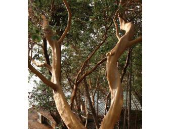 Snugglers' Cove on San Juan Island:  Two Nights in a Cozy Guest House