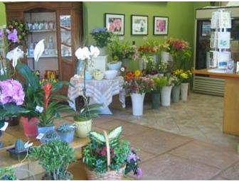 Mercer Island Florist:  $50 Gift Certificate