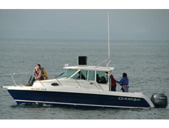 Captain Jim's Whale Watch Excursion for 2