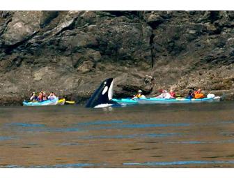 Captain Jim's Whale Watch Excursion for 2