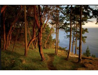 Charlotte Gibb Landscape Photography - 20' x 30' Fine Art Giclee Print