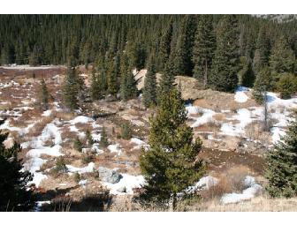 Breckenridge, Colorado Cabin - 4 Nights - 4 Bedrooms - 4 Baths -  Sleeps 26!!!