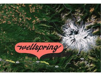 Wellspring Inn and Spa:  One Night Stay in a Classic Log Cabin for Two