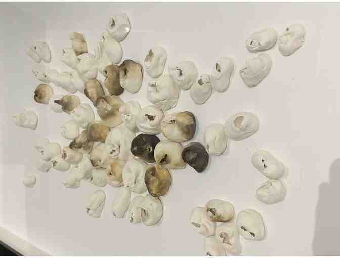 Cheryl Mackey Smith 'Safe Havens'