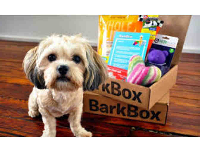 Bark Box  treats and toys for your pup - 3 months