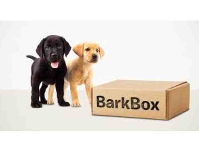 Bark Box  treats and toys for your pup - 3 months
